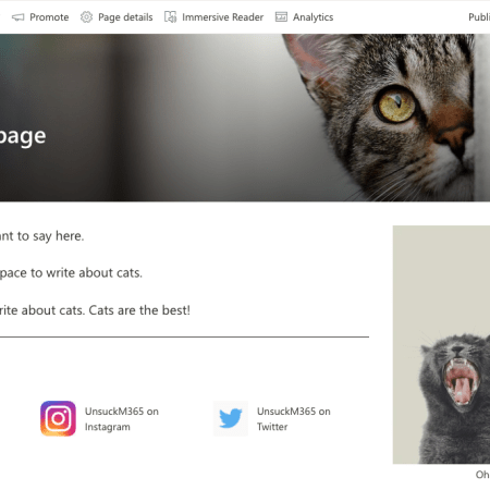 SharePoint page template