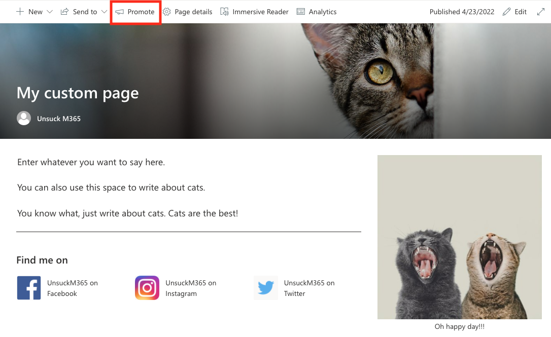 Screenshot of a beautiful SharePoint cat page